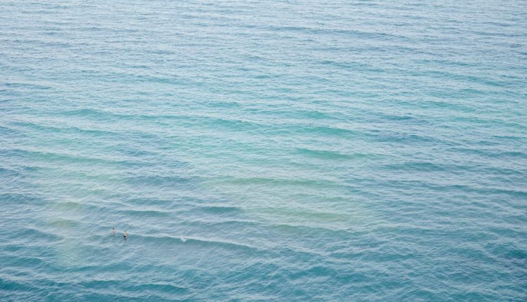 ocean_conservation@2x